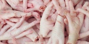 Frozen Fresh Chicken Feet