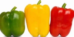 Fresh Peppers Capsicum