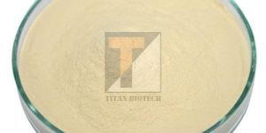 Meat Extract Powder and Paste