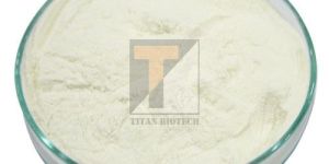 Soya Protein Isolate