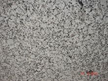 Platinum White Granite Slab