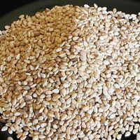 Sesame Seeds