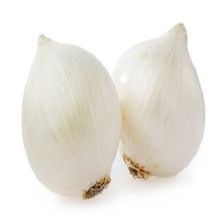 White Onion