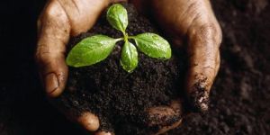 Organic Waste Water Converter