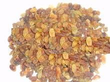 Raisin