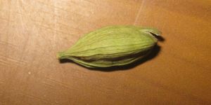 Green Cardamom