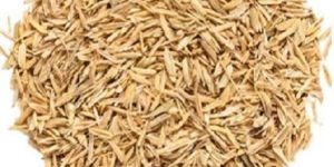 Rice Bran
