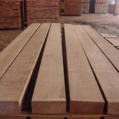 Meranti Wood
