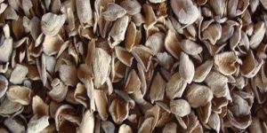 Groundnut Shell