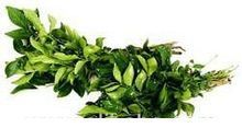 Curry Leaves