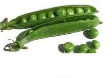 Green Pea