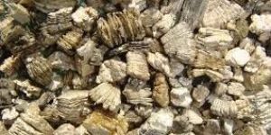 Raw Vermiculite