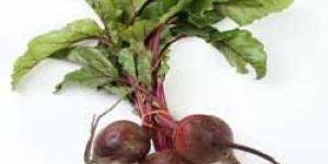 Beets