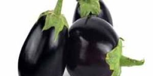 Brinjal