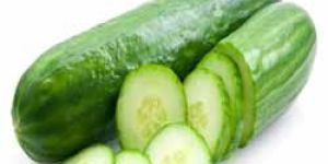 Cucumber