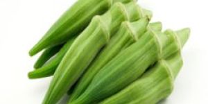Okra