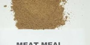 Meat Meal