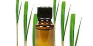 Clove Oil Leaf