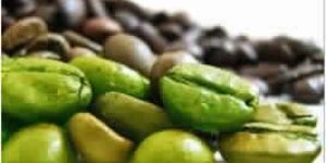 Green Coffee Extract