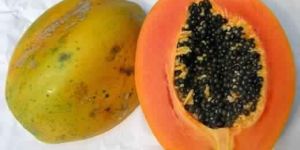Papaya Extract
