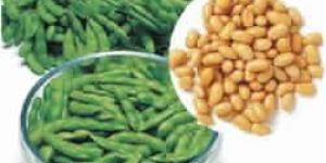 SOY PROTEIN EXTRACT