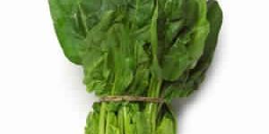 SPINACH EXTRACT