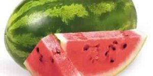 Spray Dried Watermelon Powder