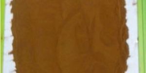 Natural Black Tea Extract