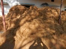 Coconut Fiber