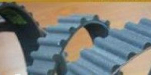 PU & PVC BELT [PAPAD M/C BELT]