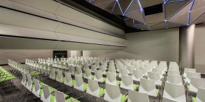 Sound Acoustic Folding Partition
