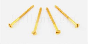Brass Wood Screws
