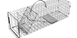 Collapsible Live Trap (Mesh Trap)