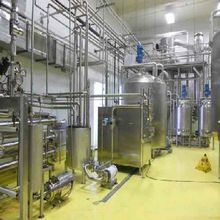 Condensed Milk Plants