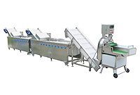 Vegetable and Fruit Cutting Washing Line