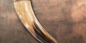 Drinking Horn