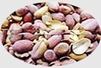Fresh Groundnut Kernel