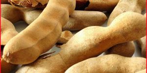 Tamarind