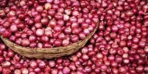 Fresh Red Onion