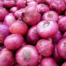 Nasik Red Onion