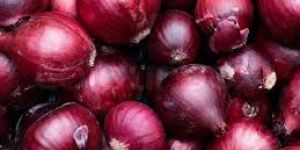 Red Onion