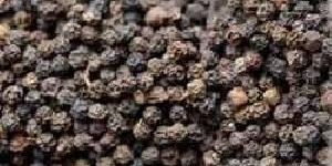 Raw Black Pepper Seeds