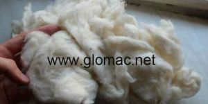 Textile Raw Material