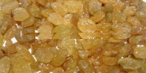 Golden Raisin
