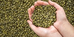 Green Coffee