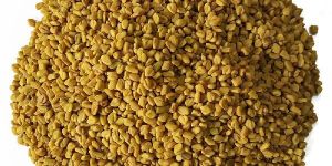 Fenugreek Seed