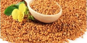 Mustard Seeds