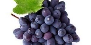Black Grapes