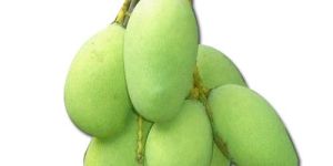 Raw Mango