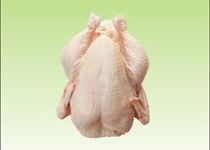 Frozen Chicken Meat